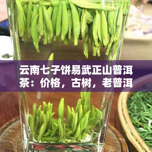 云南七子饼易武正山普洱茶：价格，古树，老普洱熟茶357克。