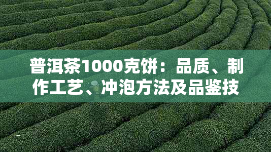 普洱茶1000克饼：品质、制作工艺、冲泡方法及品鉴技巧全方位解析