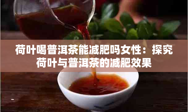 荷叶喝普洱茶能减肥吗女性：探究荷叶与普洱茶的减肥效果