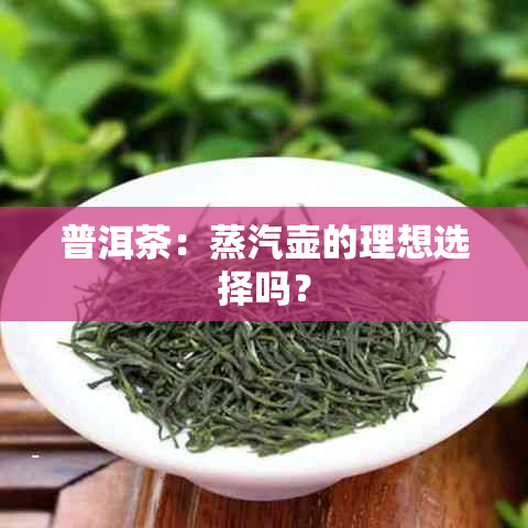 普洱茶：蒸汽壶的理想选择吗？