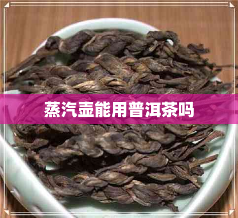 蒸汽壶能用普洱茶吗