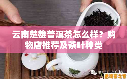 云南楚雄普洱茶怎么样？购物店推荐及茶叶种类