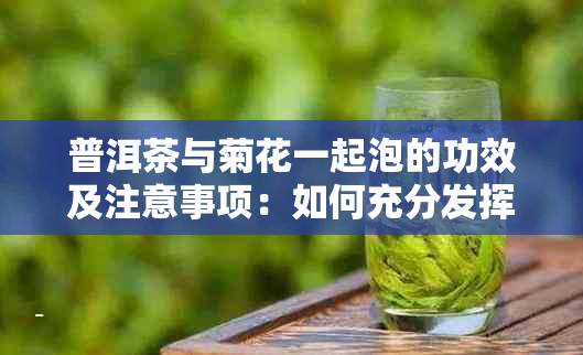 普洱茶与菊花一起泡的功效及注意事项：如何充分发挥两者的养生效果？