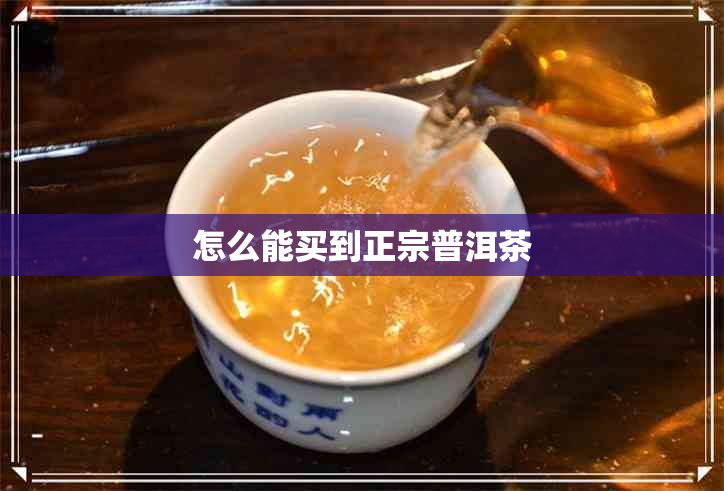 怎么能买到正宗普洱茶