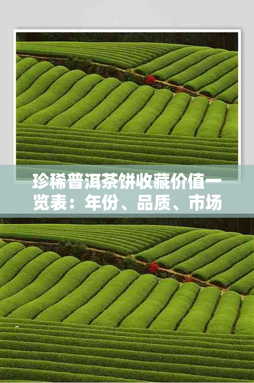 珍稀普洱茶饼收藏价值一览表：年份、品质、市场价格解析