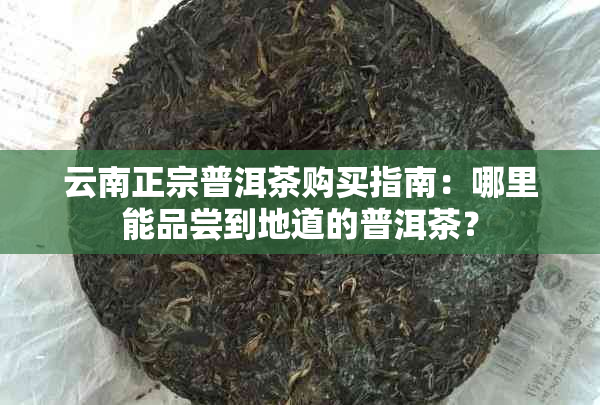 云南正宗普洱茶购买指南：哪里能品尝到地道的普洱茶？