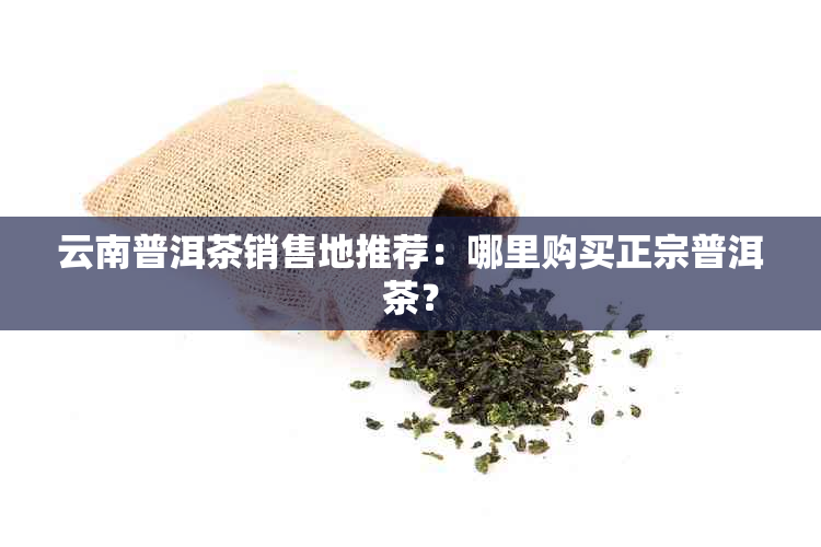 云南普洱茶销售地推荐：哪里购买正宗普洱茶？