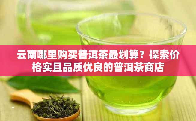 云南哪里购买普洱茶最划算？探索价格实且品质优良的普洱茶商店