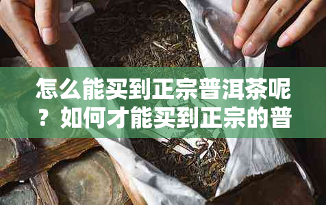 怎么能买到正宗普洱茶呢？如何才能买到正宗的普洱茶？