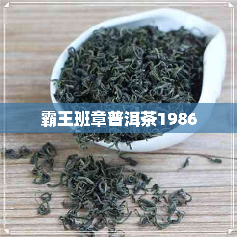 霸王班章普洱茶1986