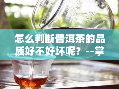 怎么判断普洱茶的品质好不好坏呢？--掌握关键因素，轻松识别普洱茶优劣