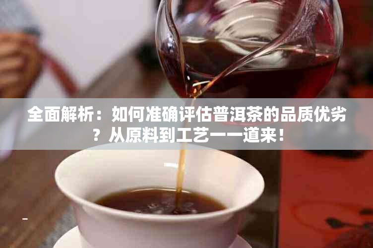 全面解析：如何准确评估普洱茶的品质优劣？从原料到工艺一一道来！