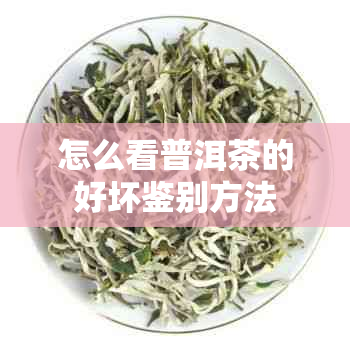 怎么看普洱茶的好坏鉴别方法