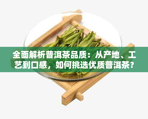 全面解析普洱茶品质：从产地、工艺到口感，如何挑选优质普洱茶？