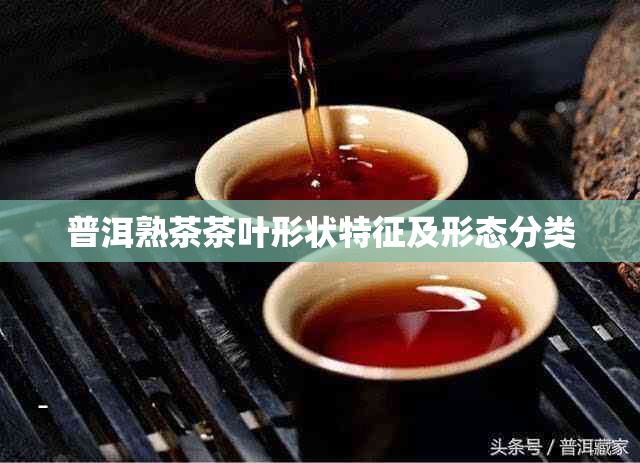 普洱熟茶茶叶形状特征及形态分类