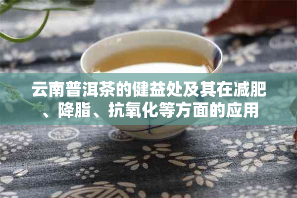 云南普洱茶的健益处及其在减肥、降脂、抗氧化等方面的应用