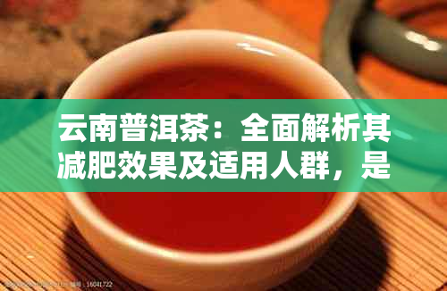 云南普洱茶：全面解析其减肥效果及适用人群，是否适合你的健选择？