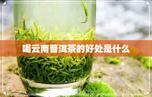 喝云南普洱茶的好处是什么