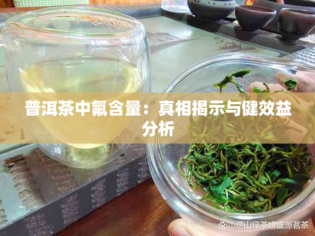 普洱茶中氟含量：真相揭示与健效益分析