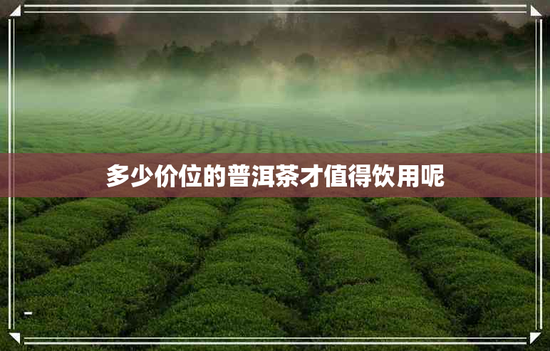 多少价位的普洱茶才值得饮用呢