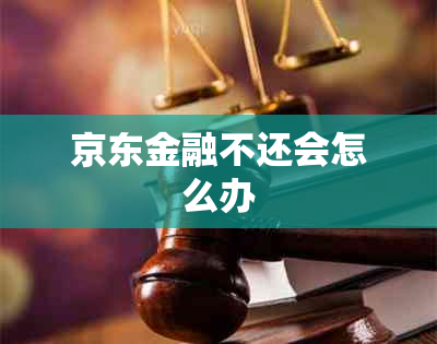 京东金融不还会怎么办