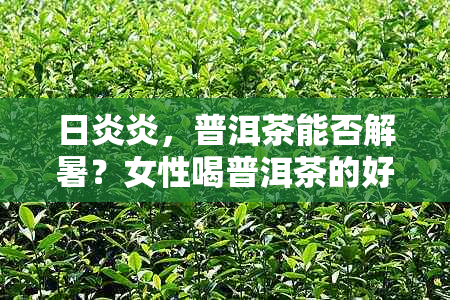 日炎炎，普洱茶能否解暑？女性喝普洱茶的好处与禁忌有哪些？