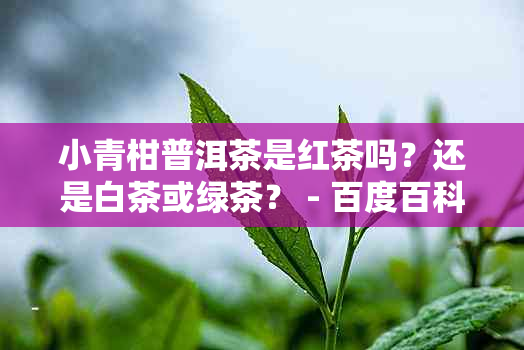 小青柑普洱茶是红茶吗？还是白茶或绿茶？ - 百度百科