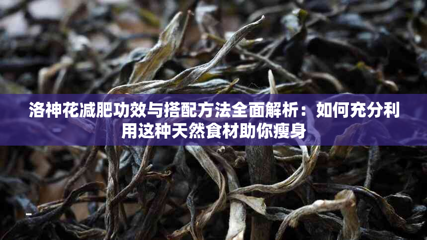 洛神花减肥功效与搭配方法全面解析：如何充分利用这种天然食材助你瘦身