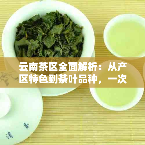 云南茶区全面解析：从产区特色到茶叶品种，一次了解所有你想问的