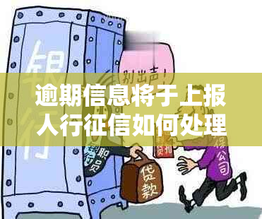 逾期信息将于上报人行如何处理