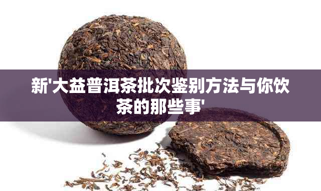 新'大益普洱茶批次鉴别方法与你饮茶的那些事'