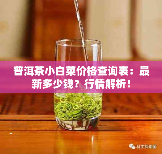 普洱茶小白菜价格查询表：最新多少钱？行情解析！