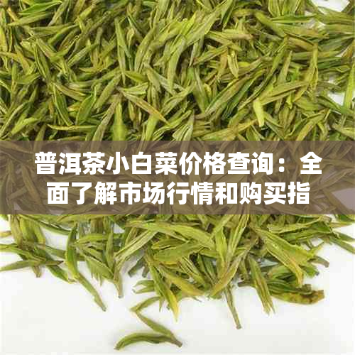 普洱茶小白菜价格查询：全面了解市场行情和购买指南