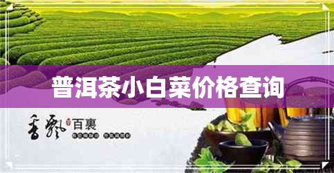 普洱茶小白菜价格查询