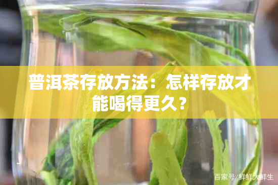 普洱茶存放方法：怎样存放才能喝得更久？