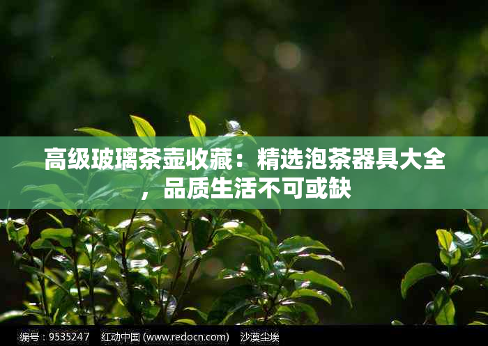 高级玻璃茶壶收藏：精选泡茶器具大全，品质生活不可或缺