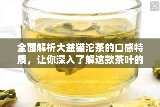 全面解析大益猫沱茶的口感特质，让你深入了解这款茶叶的美妙之处