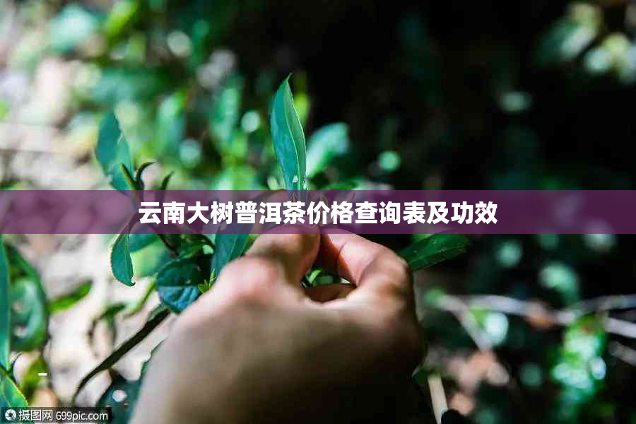 云南大树普洱茶价格查询表及功效