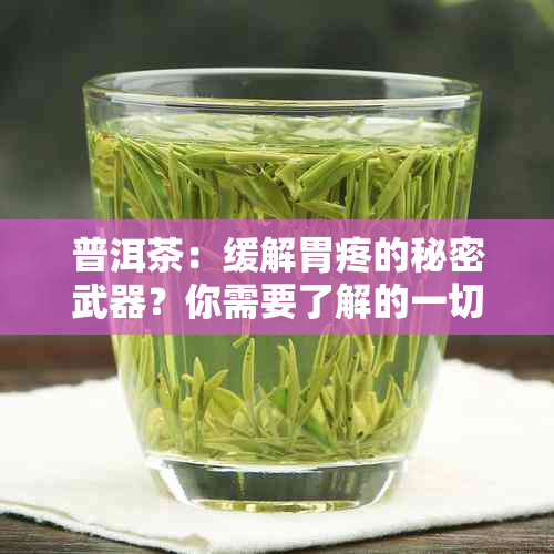 普洱茶：缓解胃疼的秘密武器？你需要了解的一切