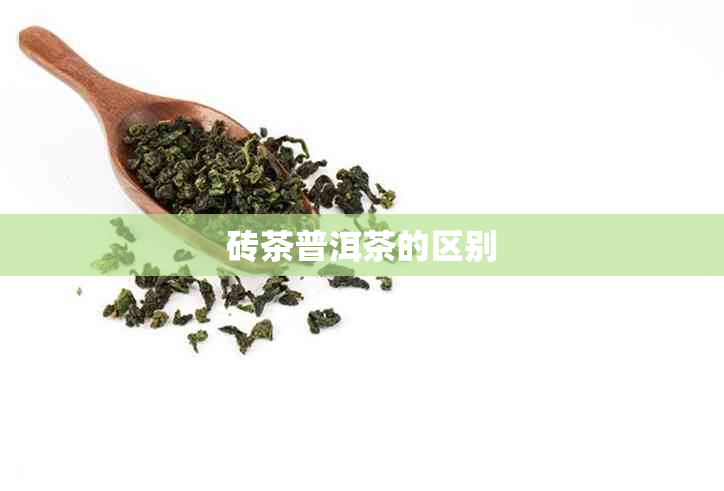 砖茶普洱茶的区别