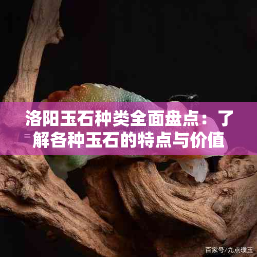 洛阳玉石种类全面盘点：了解各种玉石的特点与价值