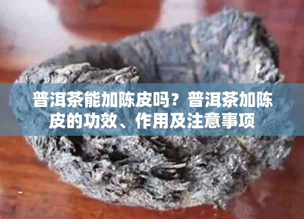 普洱茶能加陈皮吗？普洱茶加陈皮的功效、作用及注意事项