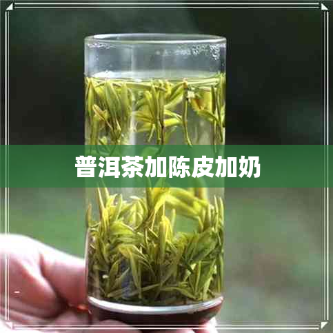 普洱茶加陈皮加奶