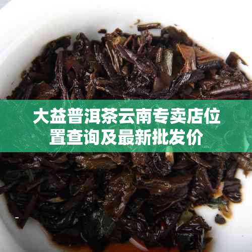 大益普洱茶云南专卖店位置查询及最新批发价