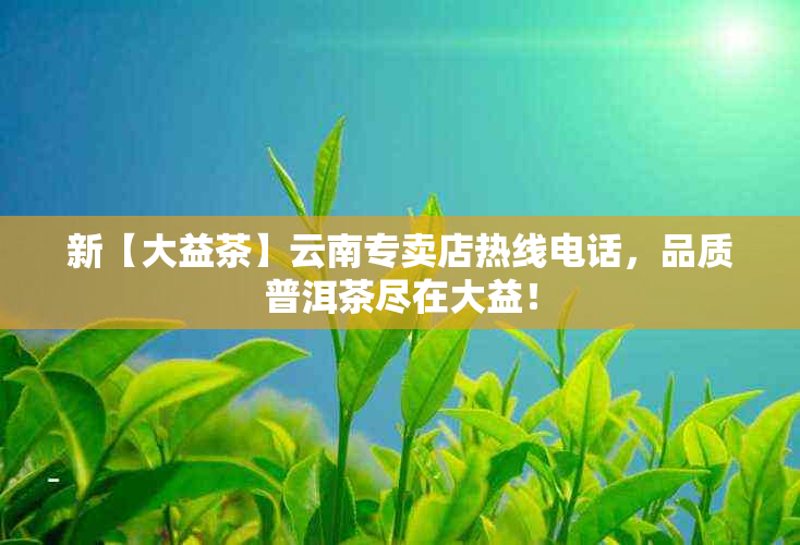 新【大益茶】云南专卖店热线电话，品质普洱茶尽在大益！