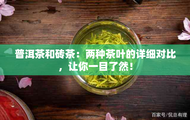 普洱茶和砖茶：两种茶叶的详细对比，让你一目了然！