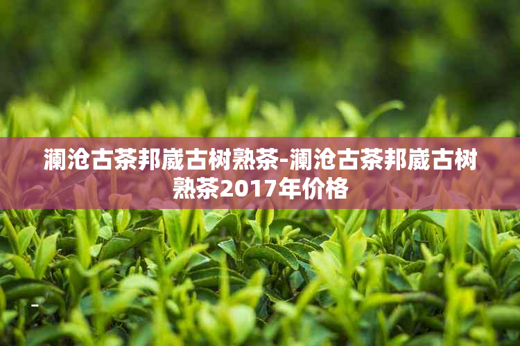 澜沧古茶邦崴古树熟茶-澜沧古茶邦崴古树熟茶2017年价格