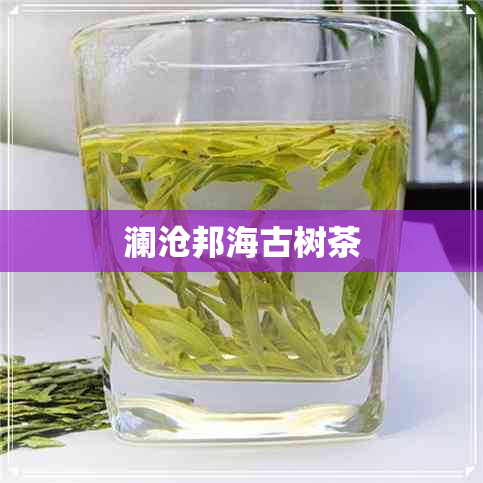 澜沧邦海古树茶