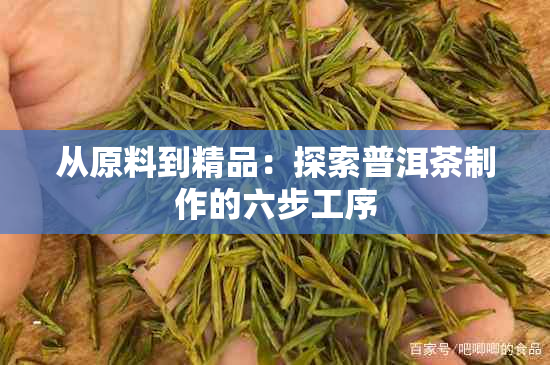 从原料到精品：探索普洱茶制作的六步工序