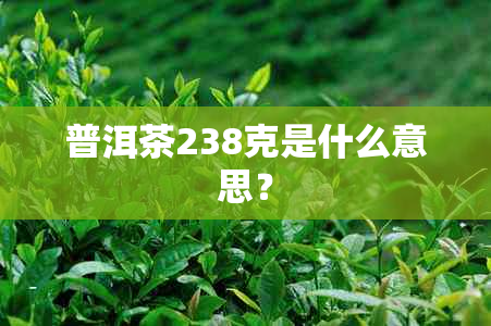 普洱茶238克是什么意思？